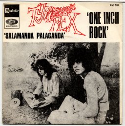 TYRANNOSAURUS REX - Salamanda palaganda / One inch rock - 45T x 1